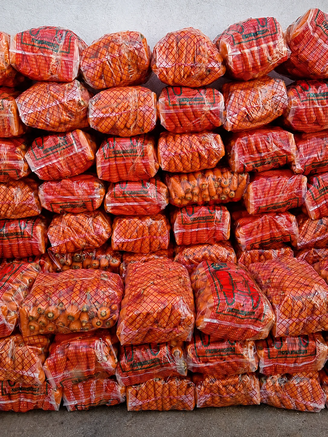 Egyptian carrot export program
