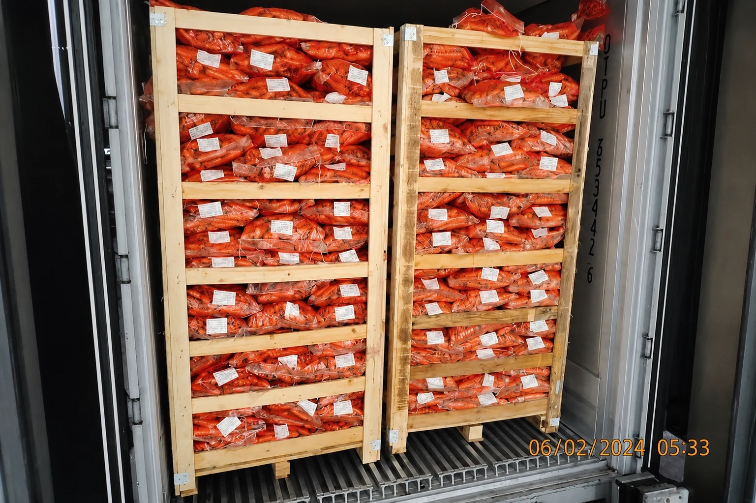 Export cartons