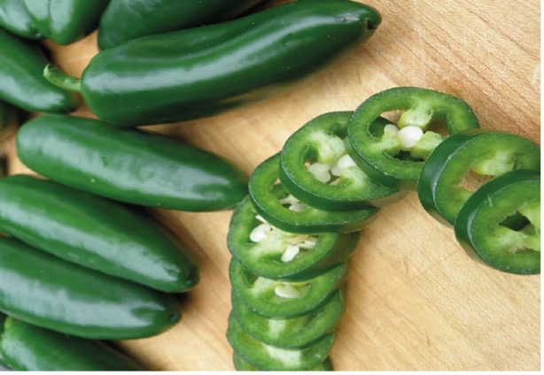 Jalapeno Pepper