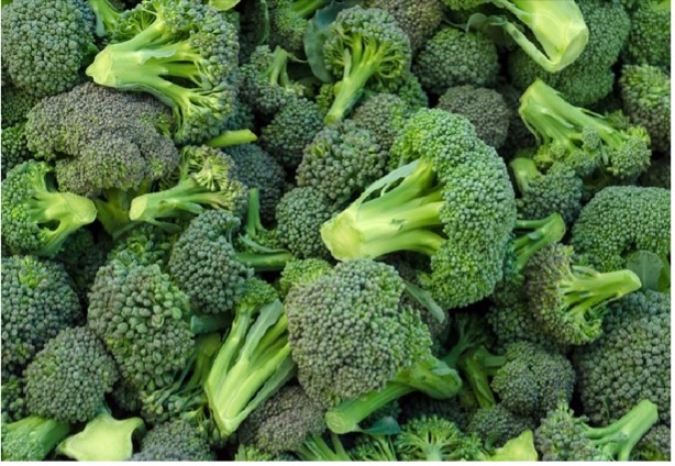 Broccoli